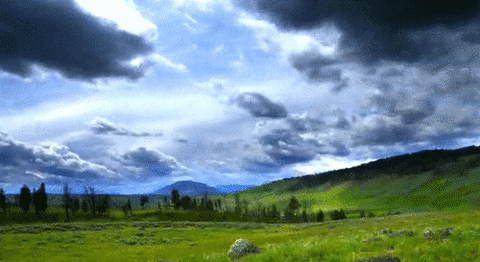 relaxing scenery pictures animated