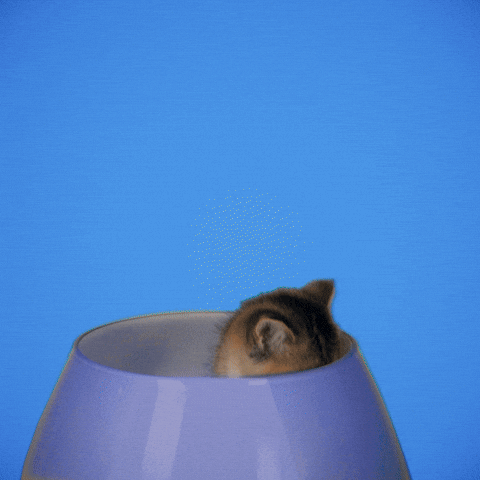 Good Morning Hearts GIF by GIPHY Studios Originals