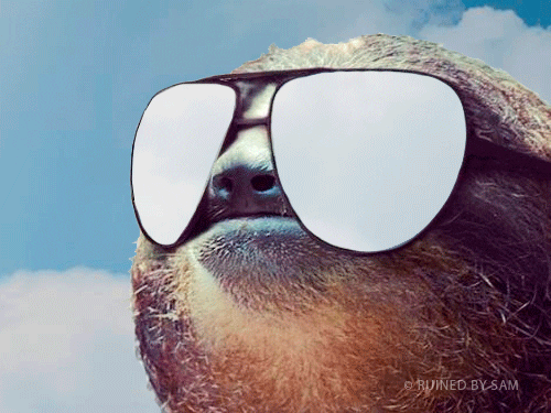Cool Summer GIF - Find & Share on GIPHY