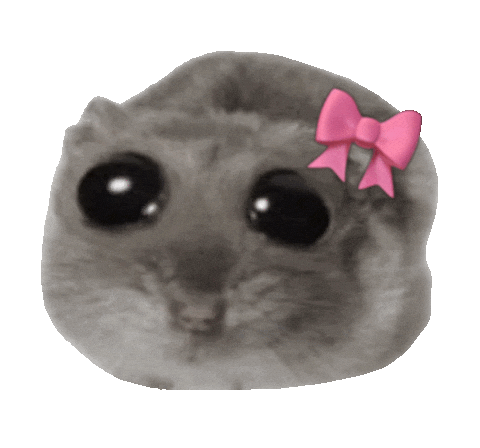 Cute hamster