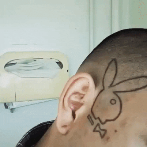 giphy.gif
