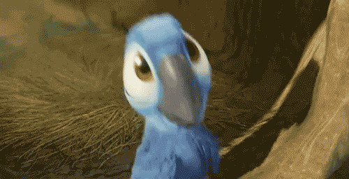 Disney Bird GIF - Find & Share on GIPHY