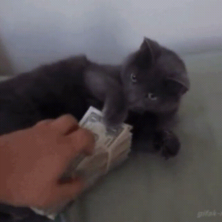 Von wegen Geld stinkt nicht so dreckig sind unsere Scheine