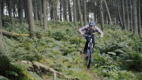 Biking GIF - Find & Share on GIPHY