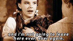 wizard of oz toto dorothy gale there's no place like home