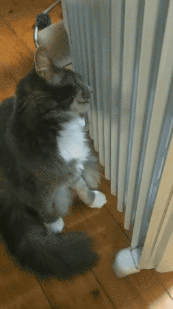 woman flirting signs at work meme gif images woman flirting signs at work meme gif images