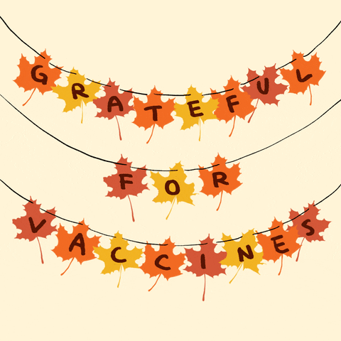 gif shows red, orange, and yellow leaves on strings, spelling out
grateful
for
vaccines