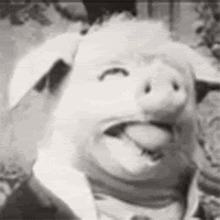 Dancing Pig GIFs - Find & Share on GIPHY