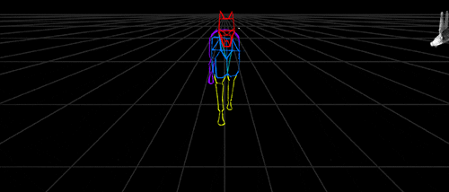 Harf Animated Process Gif