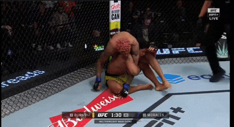 giphy.gif