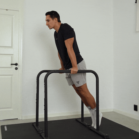 leg assisted dips exercise demonstration