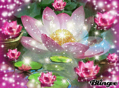 Resultado de imagen para imagen de lotus FLOR