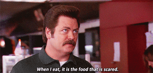 Ron Swanson Life GIF - Find & Share on GIPHY