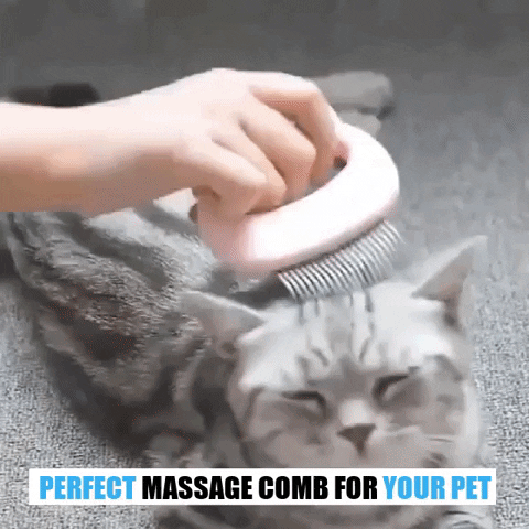 Cat Massage Comb – pampercats