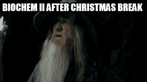 Christmas Meme GIF - Find &amp; Share on GIPHY