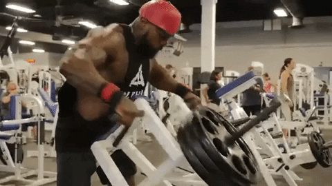 Mike Rashid How to get a strong back