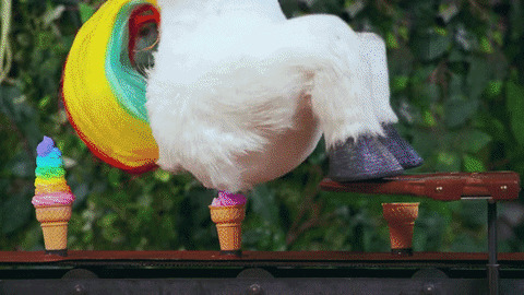 Unicorn Cream funny Gif