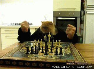 chess memes