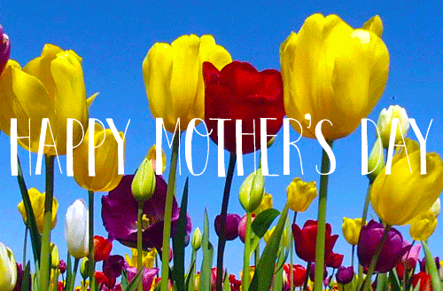 Image result for happy mothers day gif