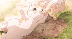 cat anime black kawaii white