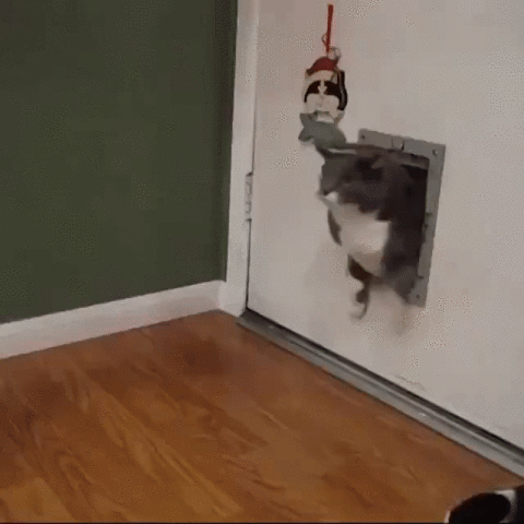 Door GIF - Find & Share on GIPHY