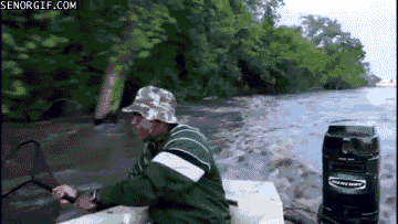 10 Silly Carp GIFs for a Slap-Happy Day