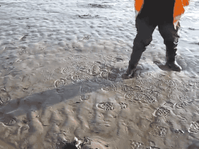 animated quicksand