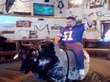 Image result for rodeo cow gif