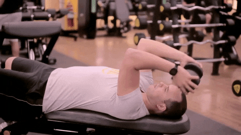 YoPRO  10 exercícios de braço para ajudar a fortalecer o bíceps e o tríceps