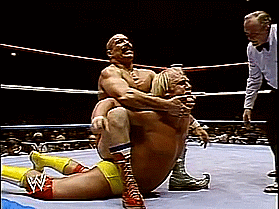 Hulk Hogan Wwe GIF - Find & Share on GIPHY