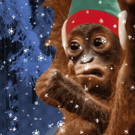 giphy.gif