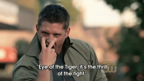 Eye Of The Tiger GIFs - Get the best GIF on GIPHY