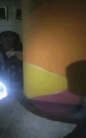 giphy.gif
