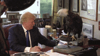 200w.gif