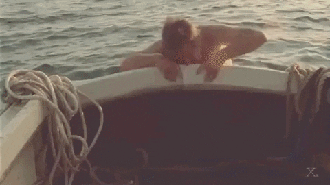 giphy.gif
