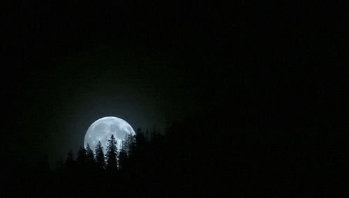 Moon rising
