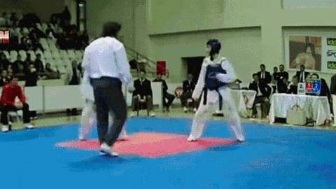 giphy.gif