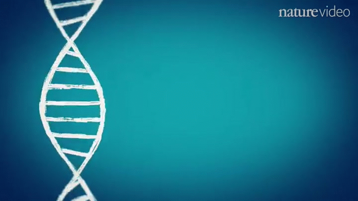 Disease GIF - Find & Share on GIPHY Disease GIF - Find & Share on GIPHY
