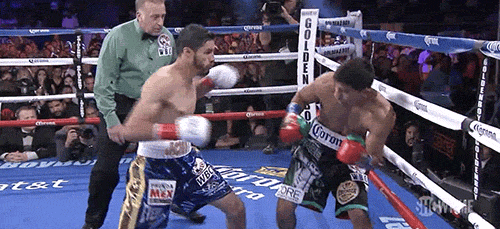 Boxing GIF - Find & Share on GIPHY