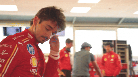 giphy.gif?cid=ecf05e472cb13b721582d2e7ef5dbf93d47e04466efb07a8&ep=v1_user_favorites&rid=giphy.gif&ct=g