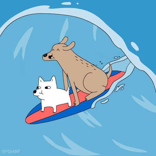 Deux chiens en train de surfer