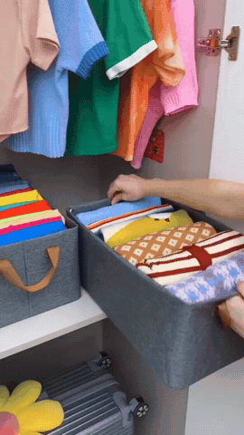 Organizador de ropa plegable