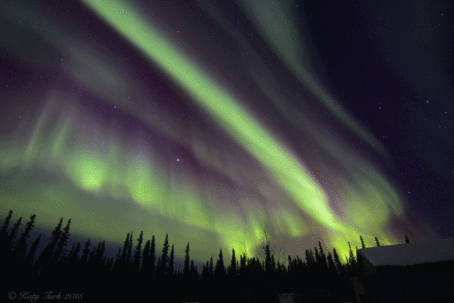 Image result for northern lights gif