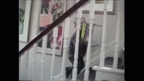 gimp gif to strip gimp gif to strip