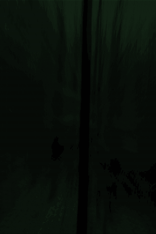 Eye Candy GIF Find & Share on GIPHY