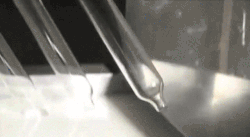 condom