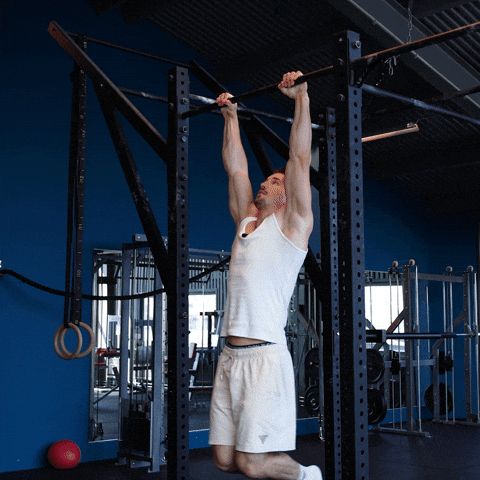 Halflay front lever raises demonstration