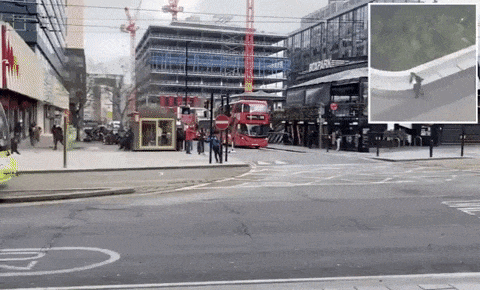 giphy-downsized-large.gif