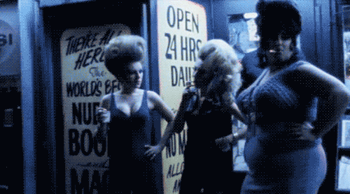 giphy.gif