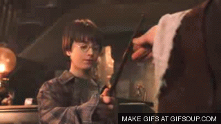 Image result for wand chooses the wizard gif